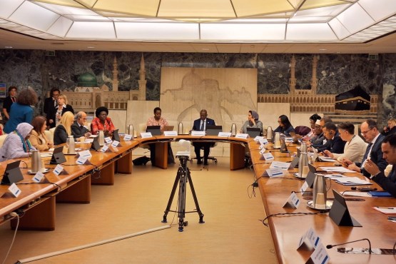 Предсједавајући Комисије за спољну и трговинску политику, царине, саобраћај и комуникације Дома народа ПСБиХ Сафет Софтић учествовао у Риму на припремном састанку за Трећи глобални парламентарни самит против глади и неухрањености